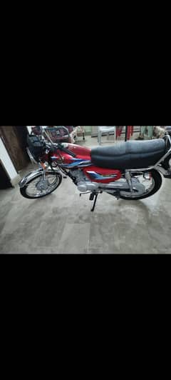 contact number 03172019367