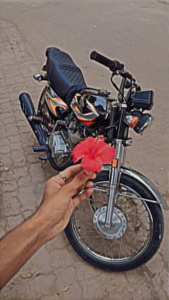 bike