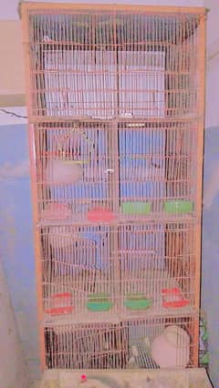Bird Cage