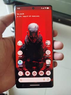 pixel 6pro approved