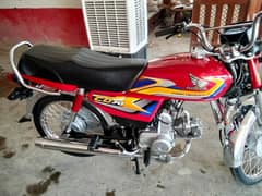 applied for 24/25 . model  03156093843