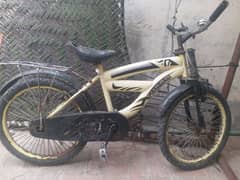 cycal For sale argant