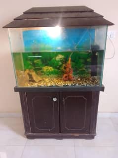 aquarium for sale with all accessories