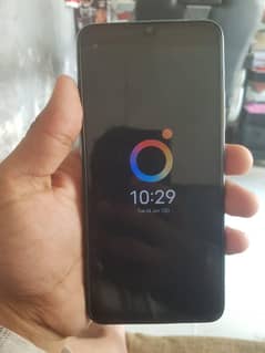 vivo