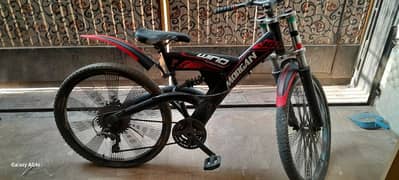 Mountain bicycle