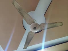 Ceiling
