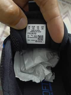 puma