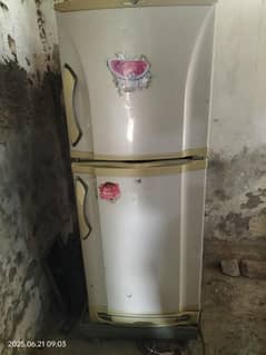 pel refrigerator