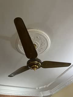 Ceiling