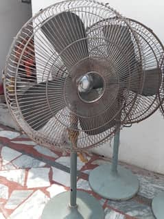 3 fans