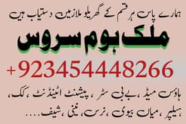 PROFESSIONAL MAID, BABY SITTER, PATIENT ATTENDENT, COOK, HELPER