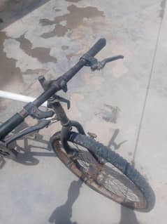 2 seater bicycle