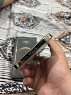 12 PRO MAX 256 gb PTA