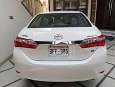 corolla