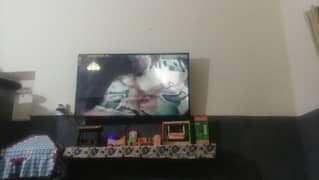LED 55" Sony