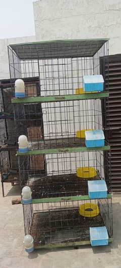 Fancy Pigeon Cages Parinda Brand