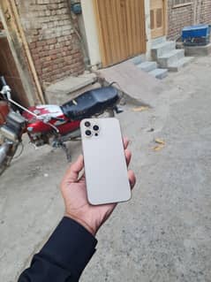 12 pro max