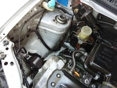 suzuki kei