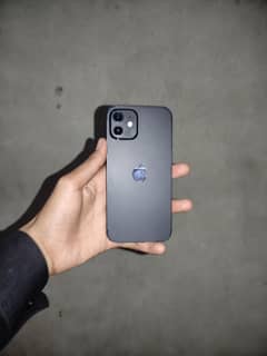 iPhone 12