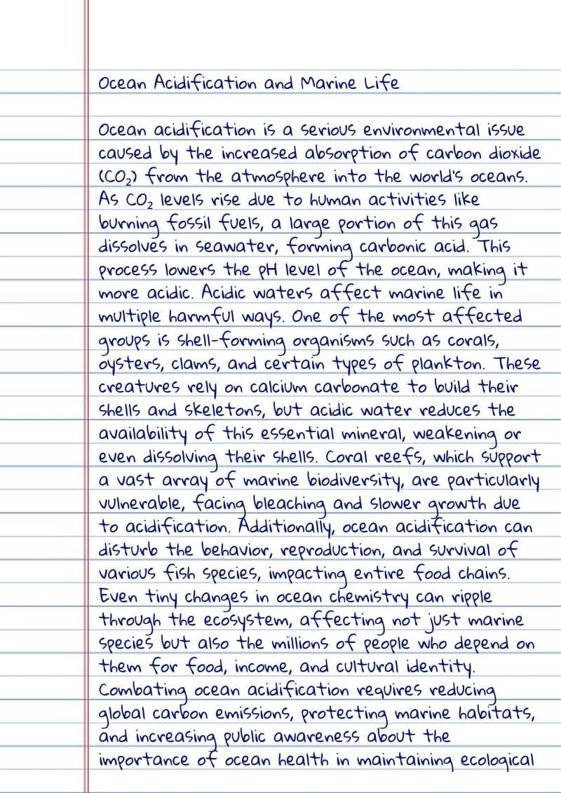 Assignment written work 4
