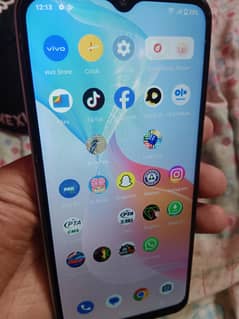 vivo