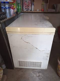 waves dfreezer