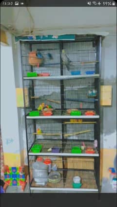 Birds cage condition All okay