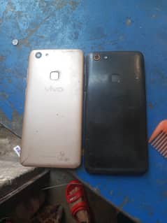 panal