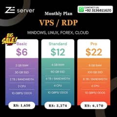  Affordable Windows RDP / Linux VPS - DDos Protective 