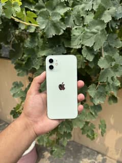 i phone 12 ( 256 GB ) (Jv) LLA