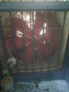 Air coolar
