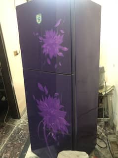 waves fridge