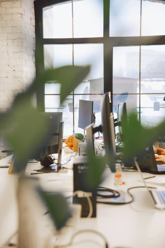 Elegant 1000 Sq Yards Office Use Bungalow For Rent With An Open Concept Layout Design And Having 5000 Sq Feet Of Carpeted Space Suitable For Companies In Search Of A Property With A Modern Appeal To It In PECHS Off Shahrah-E-Faisal | 4