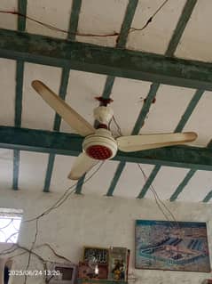 12V Ceiling Fan For Sale (New Type With Box)