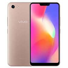 VIVO