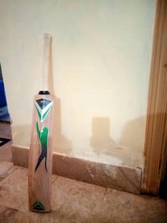 hard ball cricket bat