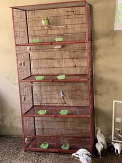 Breeding cage 4 portion angle frame parrot hen