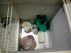 deep freezer
