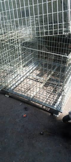 iron cage