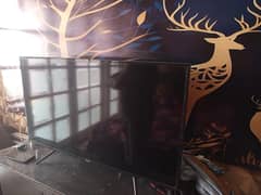 Haier LED simple