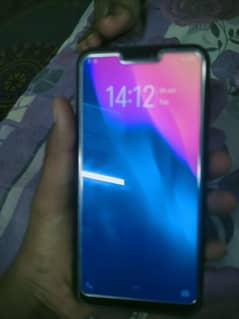 vivo