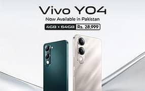 Y04 vivo
