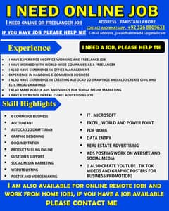 I need online  job / freelancer job