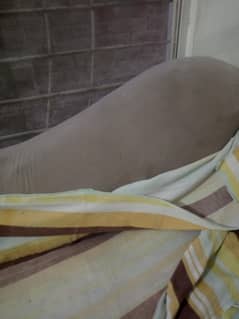 bed side table daween