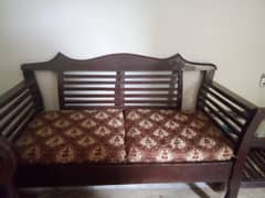 shisham