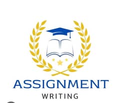 Assignment written work