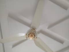 ceiling fans