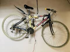 Bicycle/Cycles