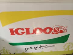igloo