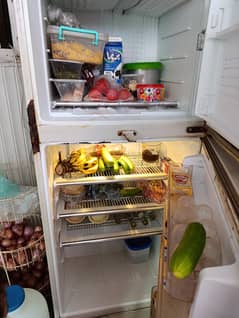 Refrigerator dawalance